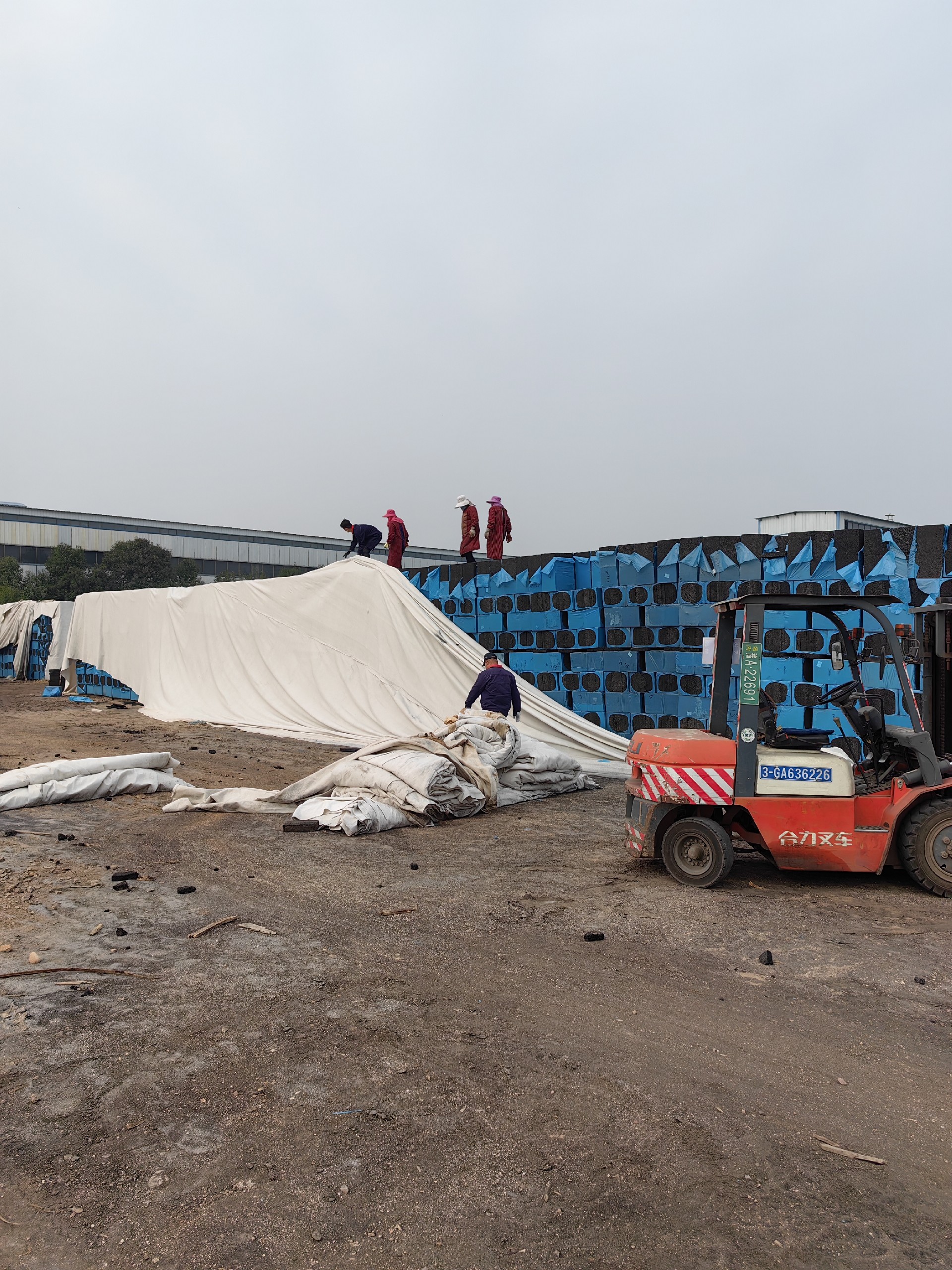 1668476826185159.jpg 1668476826185159.jpg