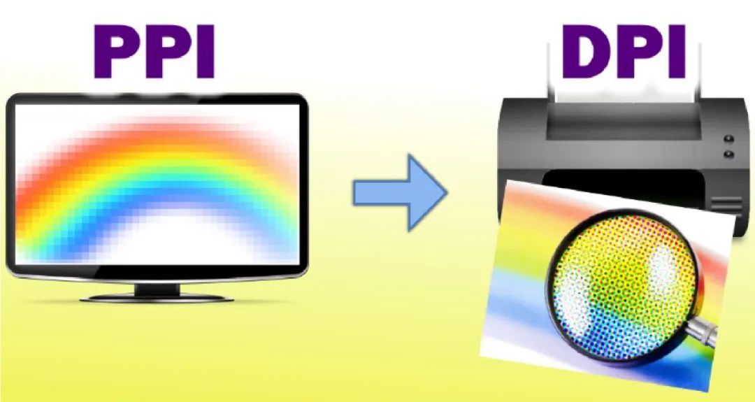 1735120122106400.jpg 15.jpg